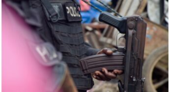 House of Reps probe Police over loss of firearms by personnel