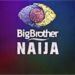 Who is the Owner of Big Brother Naija