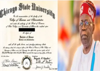 Tinubu Studentship Gender