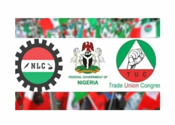 Organized Labour
