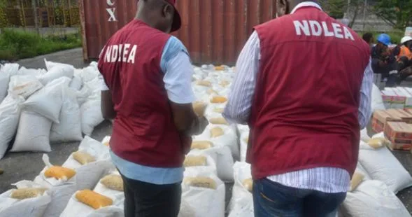 NDLEA
