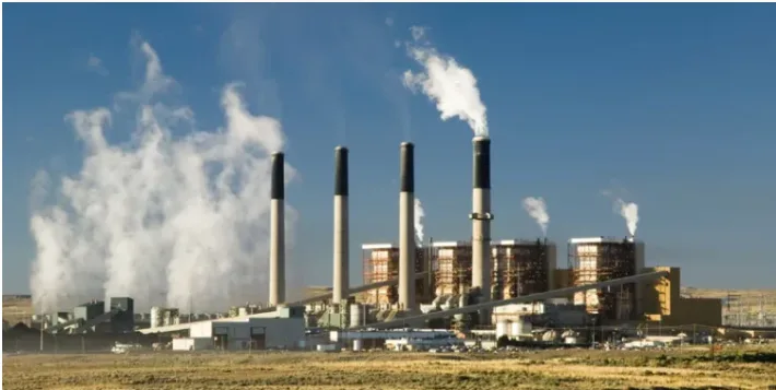 Dubai COP28 Delegates