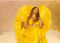 Beyonce Net Worth