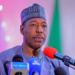 Governor Zulum