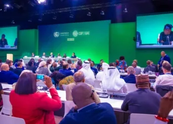 COP 29 Delegates