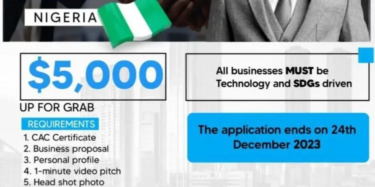 Stephen Akintayo Foundation Business Grants