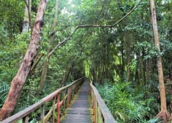 Lekki Conservation Centre
