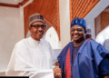 Femi Adesina