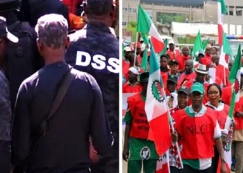 DSS