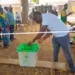 Bye-Elections