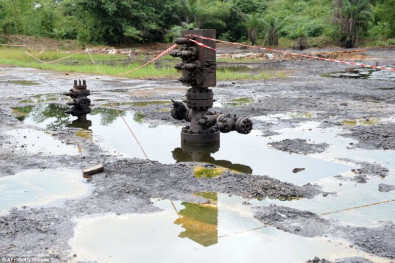 Illegal Refineries In Bayelsa State