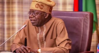 Tinubu Urges Nigerians Not To Despair, Says Current Pains Will Bring Prosperity