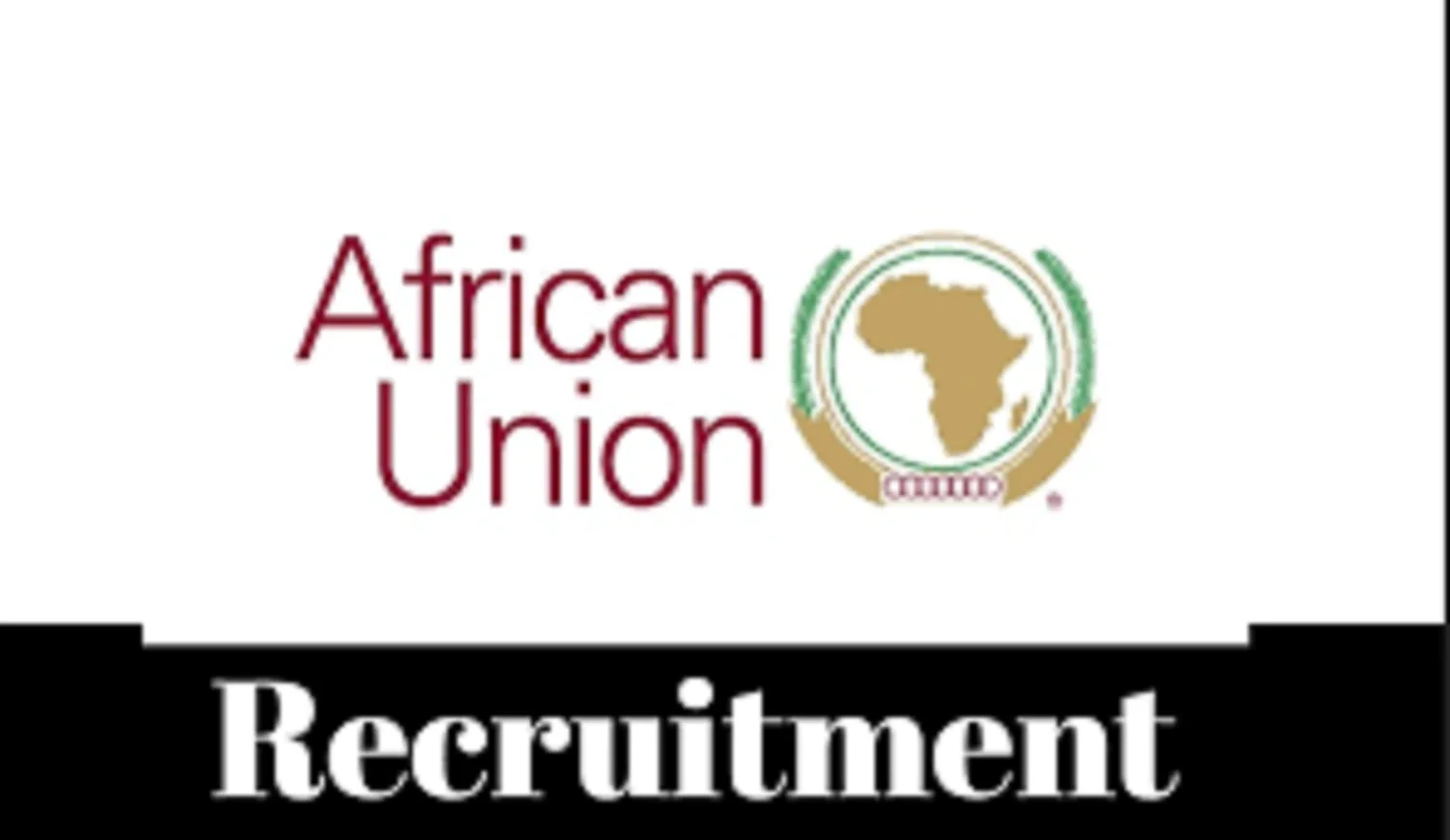 AU Internship Program 2024