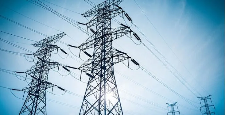 Electricity Distributors