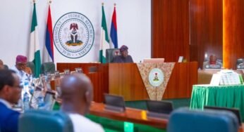 BREAKING: Tinubu Bans Establishment of New Federal Tertiary Institutions In Nigeria