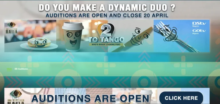 Big Brother Naija (BBNaija) 2024 Season 9 Auditions