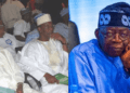 Northern Elders
