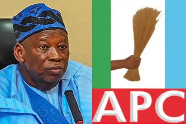 All Benue LG Poll