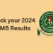 JAMB 2024 Result Checking Portal