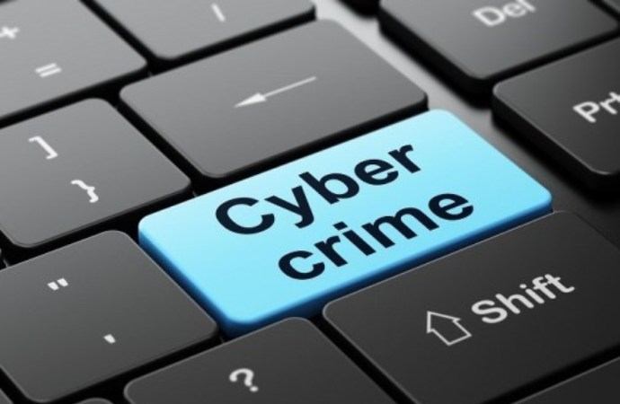Cybercrimes Act 2024
