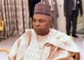 Vice President Shettima