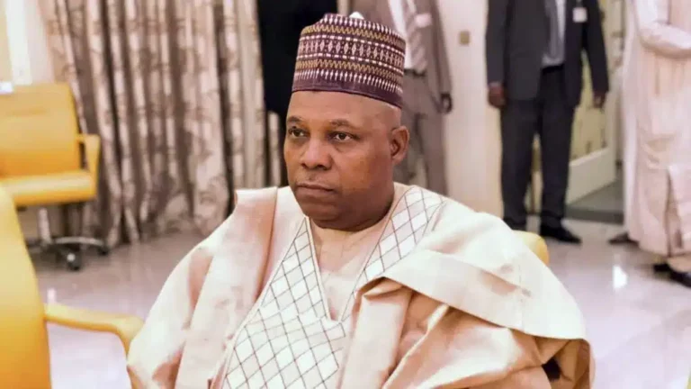 Vice President Shettima