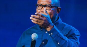 Peter Obi Has Too Much To Offer To A System That Is So Locked In Filth – Obidigbo