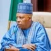 VP Shettima