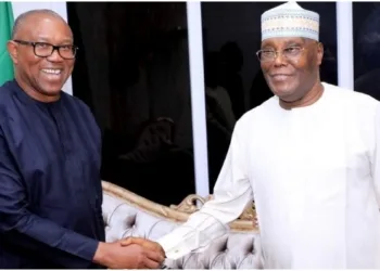 Peter Obi, Atiku Rift Speculations