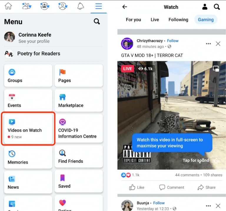 In-Stream Ads & Ads On Facebook Reels