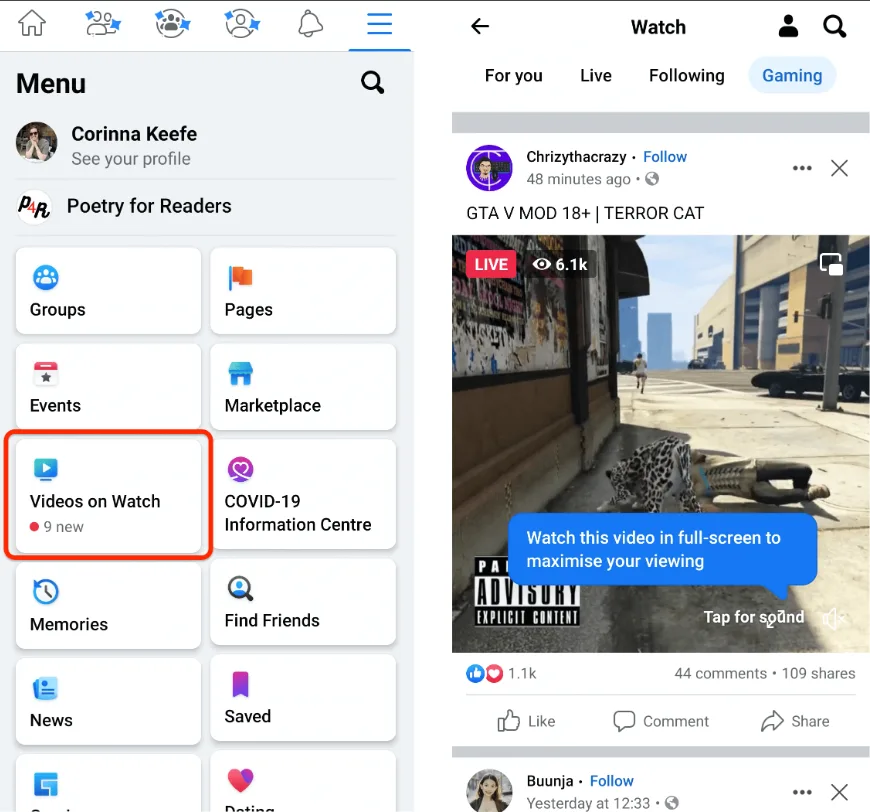 In-Stream Ads & Ads On Facebook Reels