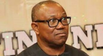 BREAKING: Labour Party Demotes Peter Obi Ahead of 2027 Presidential Election