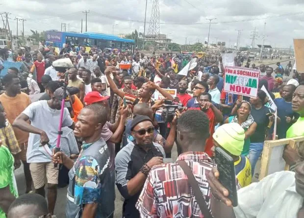 Food Security Amid Controversy
