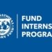 2024 International Monetary Fund (IMF) Internship Program