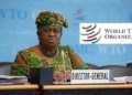 WTO Internship Program