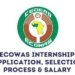 ECOWAS Immersion Internship Program