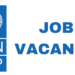 UNDP Recruitment