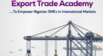 Wema Bank Launches Export Trade Academy to Empower Nigerian SMEs in International Markets