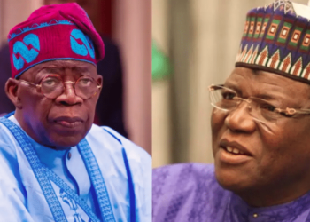 Northern Elder Lamido