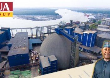 BUA Chairman Abdul Samad Rabiu