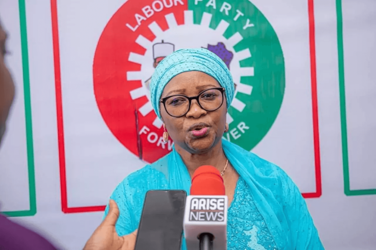 Labour Party Chairperson