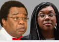 Professor Bolaji Akinyemi