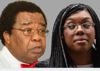 Professor Bolaji Akinyemi