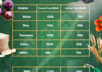 Food Prices Under Tinubu’s Government