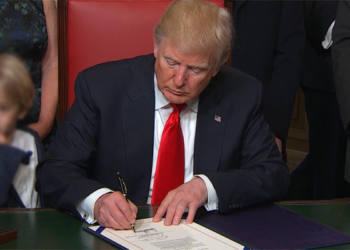 Nigerians Living In America