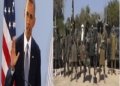 Boko Haram,