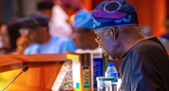 Campaigning While Nigeria Struggles: A Call for Governance Over Politics By Festus Edovia