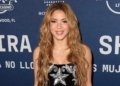 Pop Star Shakira