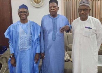 Former APC National Chairman, Abdullahi Adamu