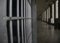 Kogi Jailbreak